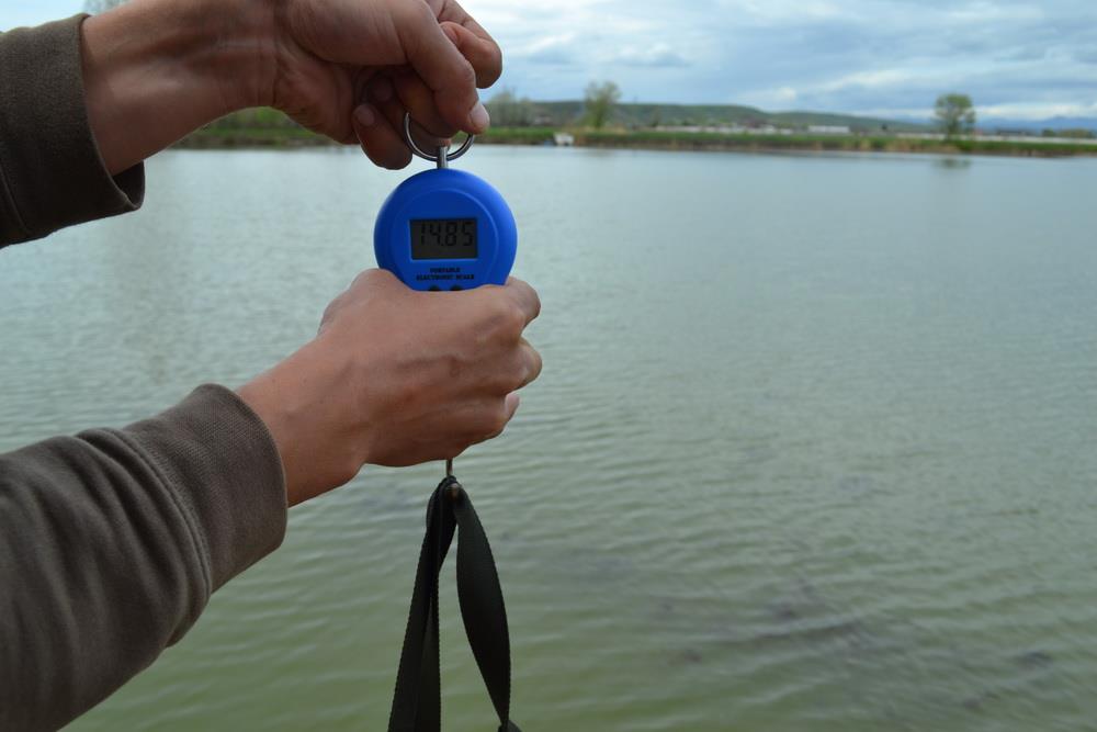 Pleasa - Pleasa - 19-20 aprilie_049.jpg